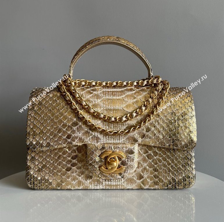 Chanel Mini Classic Flap Bag with Top Handle in Pythonskin Leather AS2431 Gold-Tone 2024 (YD-241106042)