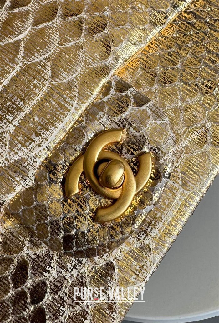 Chanel Mini Classic Flap Bag with Top Handle in Pythonskin Leather AS2431 Gold-Tone 2024 (YD-241106042)