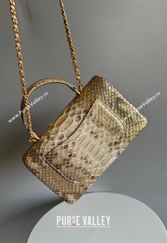 Chanel Mini Classic Flap Bag with Top Handle in Pythonskin Leather AS2431 Gold-Tone 2024 (YD-241106042)