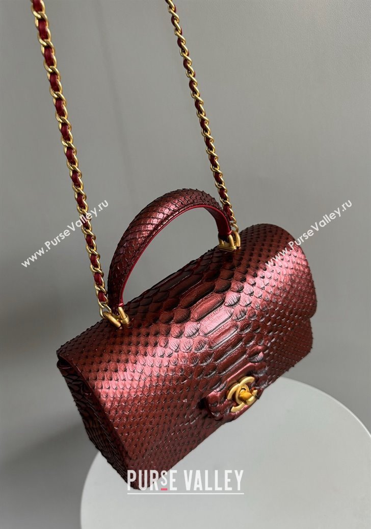 Chanel Mini Classic Flap Bag with Top Handle in Pythonskin Leather AS2431 Dark Burgundy 2024 (YD-241106051)