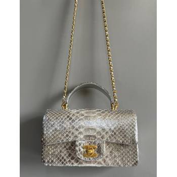 Chanel Mini Classic Flap Bag with Top Handle in Pythonskin Leather AS2431 Shiny Silver 2024 (YD-241106053)