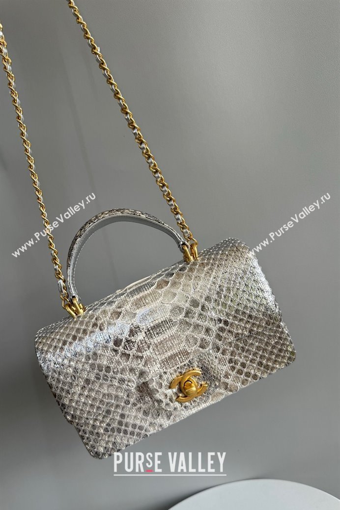 Chanel Mini Classic Flap Bag with Top Handle in Pythonskin Leather AS2431 Shiny Silver 2024 (YD-241106053)