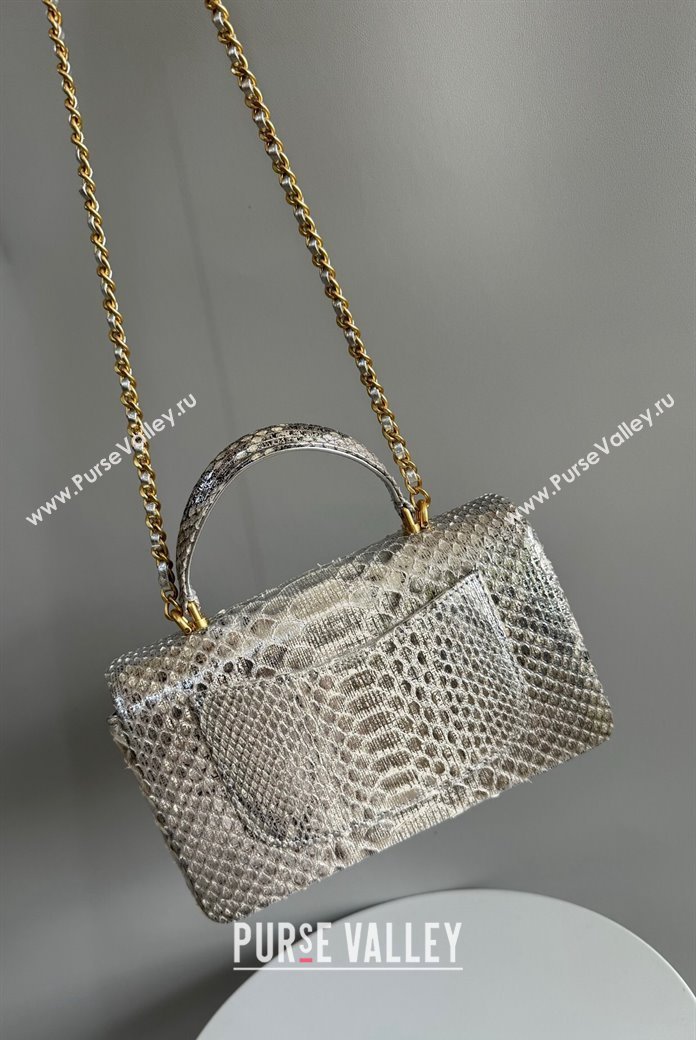 Chanel Mini Classic Flap Bag with Top Handle in Pythonskin Leather AS2431 Shiny Silver 2024 (YD-241106053)