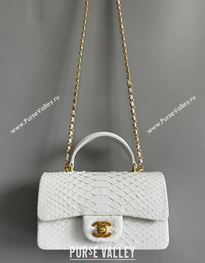 Chanel Mini Classic Flap Bag with Top Handle in Pythonskin Leather AS2431 White2 2024 (YD-241106057)