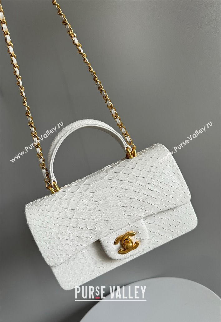 Chanel Mini Classic Flap Bag with Top Handle in Pythonskin Leather AS2431 White2 2024 (YD-241106057)