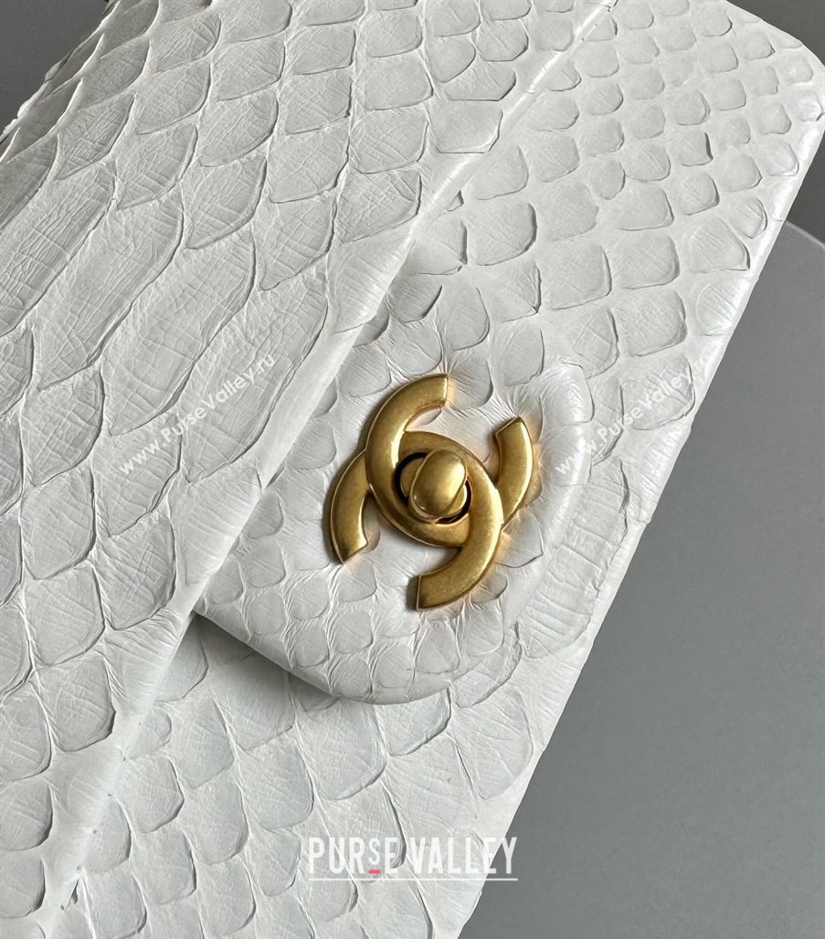 Chanel Mini Classic Flap Bag with Top Handle in Pythonskin Leather AS2431 White2 2024 (YD-241106057)