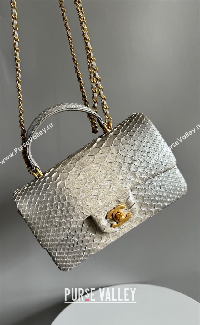 Chanel Mini Classic Flap Bag with Top Handle in Pythonskin Leather AS2431 Silver Grey 2024 (YD-241106068)