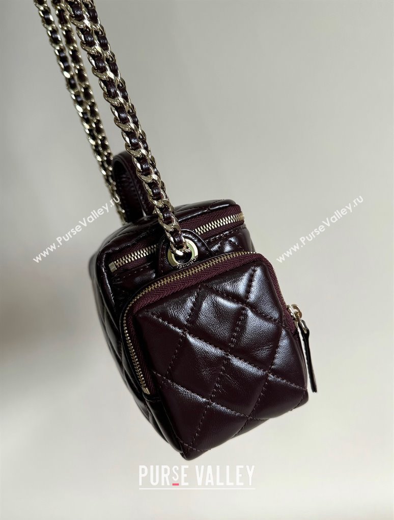 Chanel Shiny Crumpled Lambskin Vanity Case Bag with Pockets AS5222 Dark Brown 2024 TOP (YD-241106009)