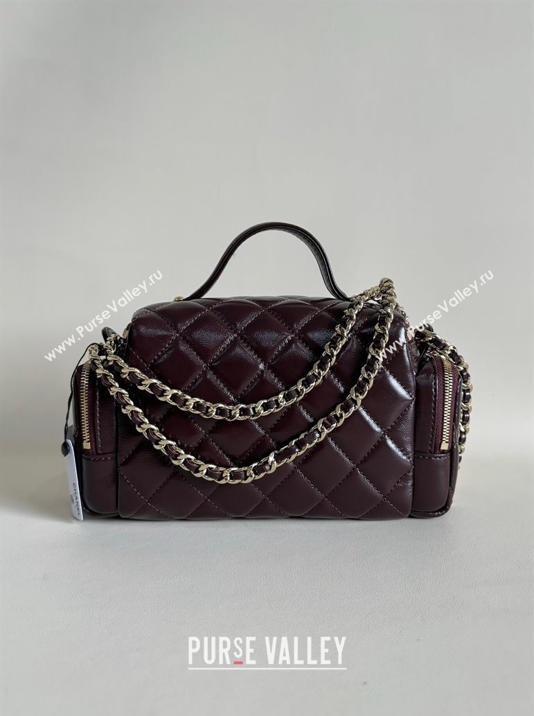 Chanel Shiny Crumpled Lambskin Vanity Case Bag with Pockets AS5222 Dark Brown 2024 TOP (YD-241106009)