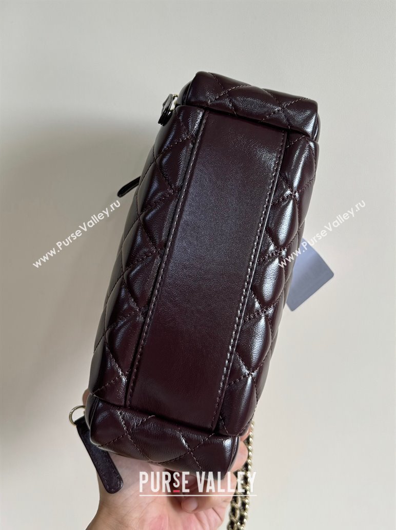 Chanel Shiny Crumpled Lambskin Vanity Case Bag with Pockets AS5222 Dark Brown 2024 TOP (YD-241106009)