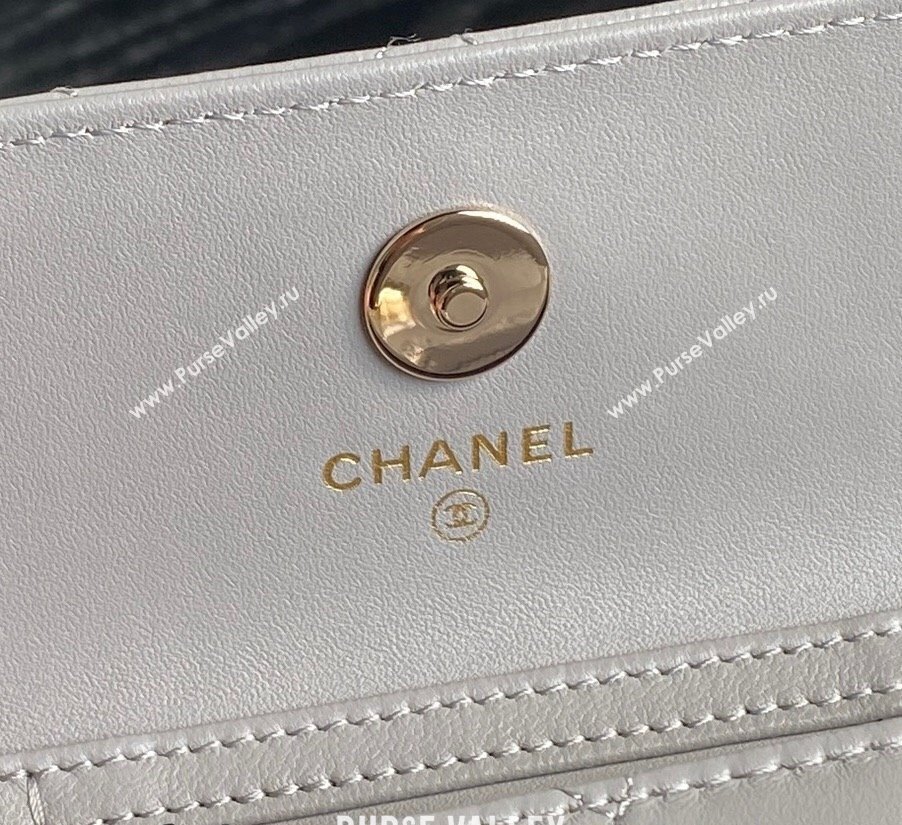 Chanel Lambskin Clutch with Chain AP4315 Grey 2024 (yezi-241106097)