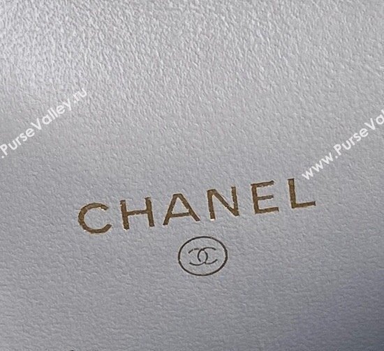 Chanel Lambskin Clutch with Chain AP4302 Grey 2024 (yezi-241106110)