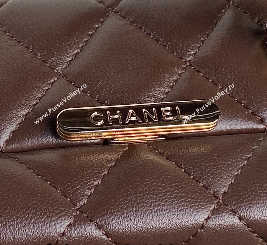 Chanel Quilted Lambskin Box Bag Brown 2024 AS5168 (yezi-241107011)