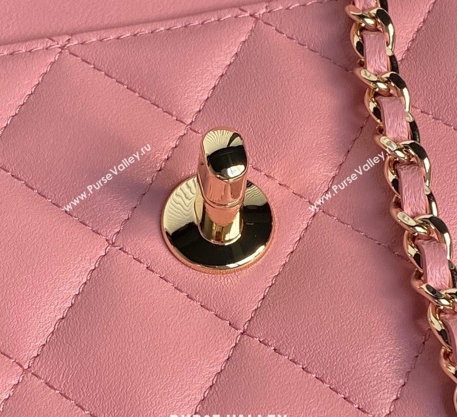 Chanel Lambskin Wallet on Chain WOC AP4299 Pink 2024 (yezi-241106129)