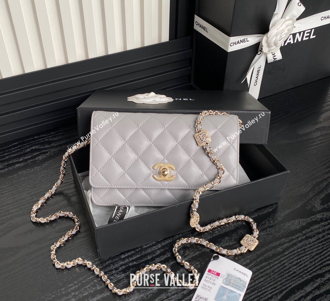 Chanel Lambskin Wallet on Chain WOC AP4299 Grey 2024 (yezi-241106131)