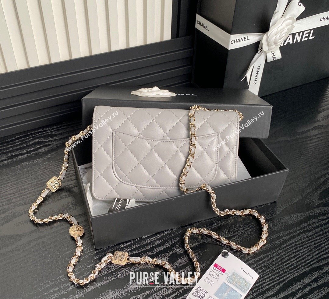 Chanel Lambskin Wallet on Chain WOC AP4299 Grey 2024 (yezi-241106131)