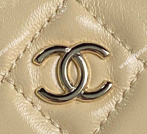 Chanel Shiny Crumpled Lambskin Vanity Case Bag with Pockets AS5222 Light Yellow 2024 (yezi-241107013)