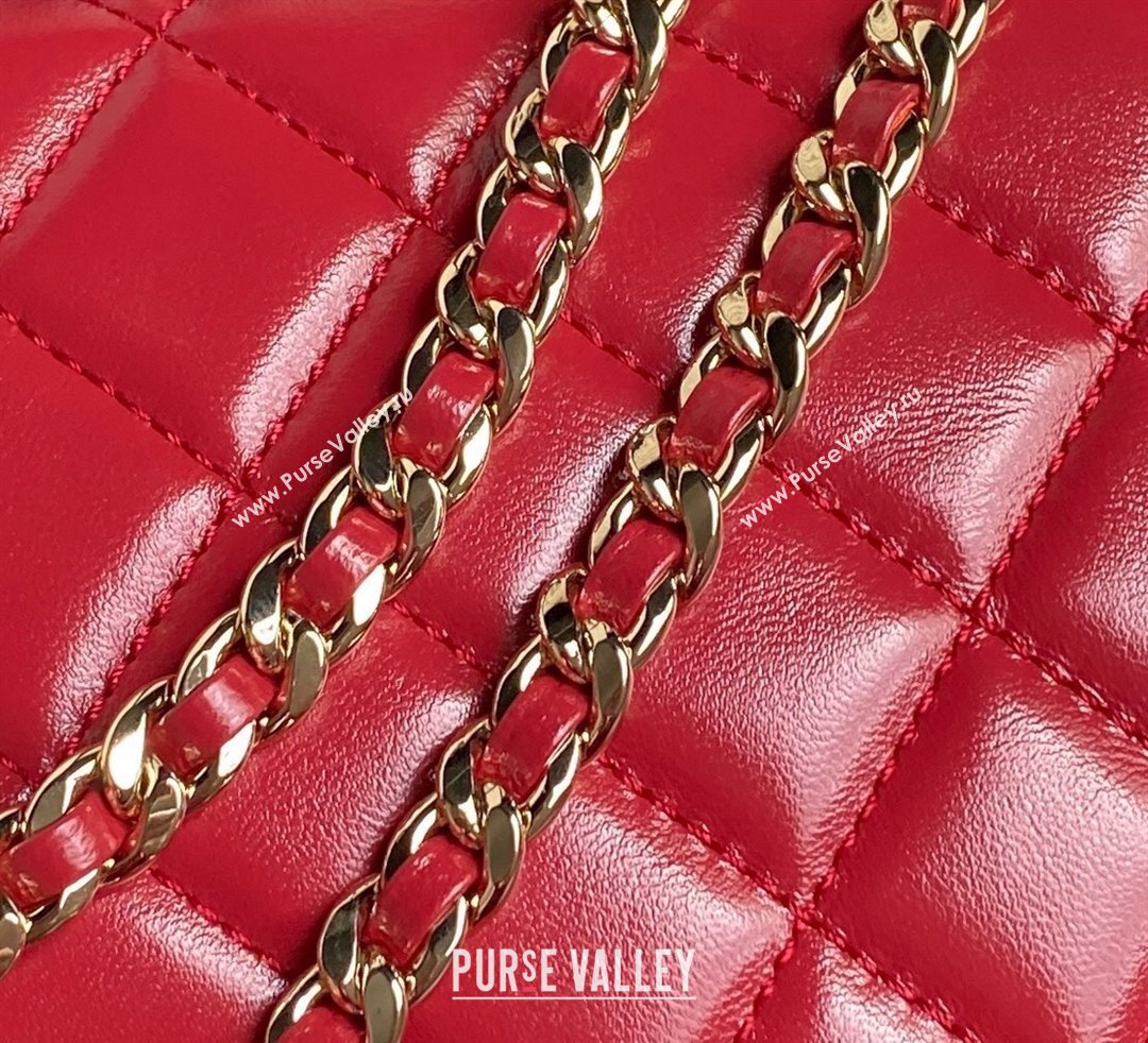 Chanel Shiny Crumpled Lambskin Vanity Case Bag with Pockets AS5222 Red 2024 (yezi-241107014)