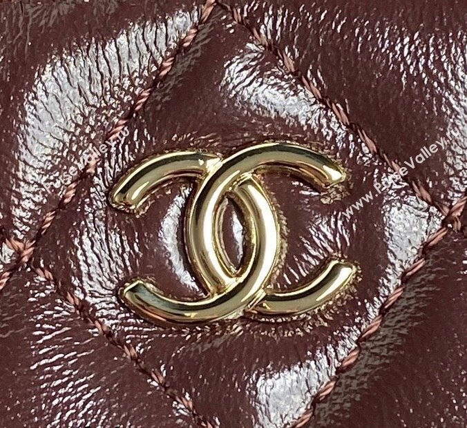 Chanel Shiny Crumpled Lambskin Vanity Case Bag with Pockets AS5222 Dark Burgundy 2024 (yezi-241107016)