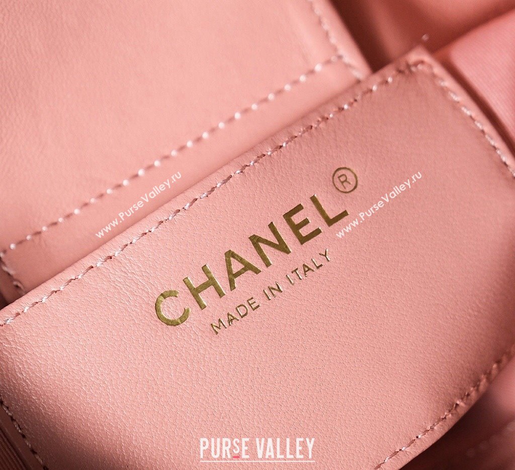 Chanel Lambskin Hobo Bag with CC Chain Strap AS5177 Coral Pink 2024 (yezi-241107023)