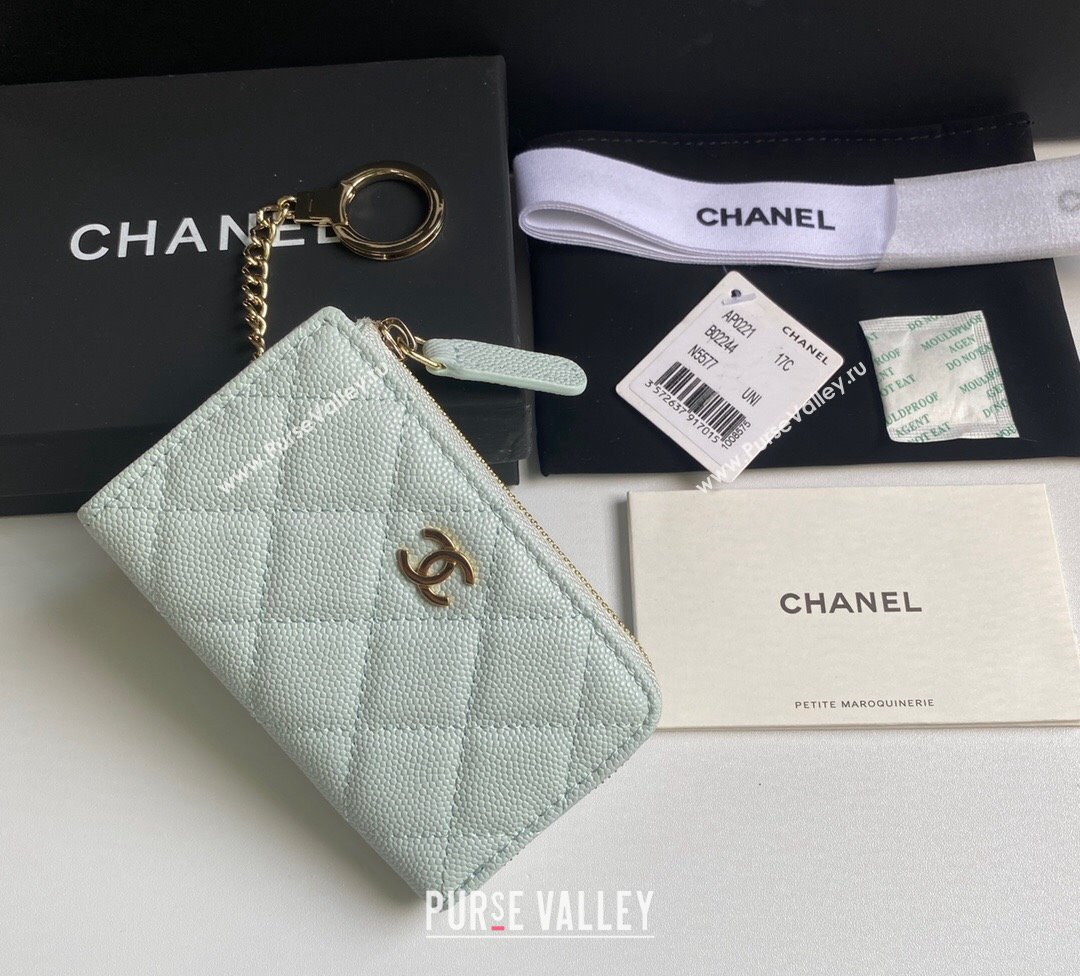 Chanel Grained Calfskin Zip Card Holder Wallet Pale Green 2024 AP0221 (yezi-241107029)