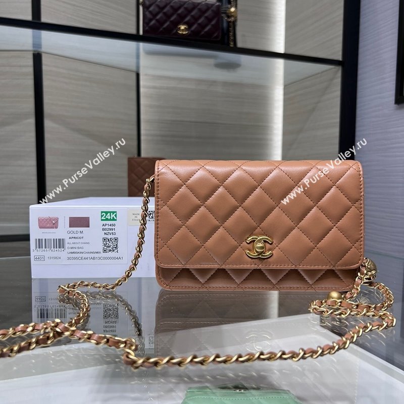 Chanel Lambskin Wallet on Chain WOC with Gold-Tone Ball AP1450 Brown 2024 (yezi-241107074)