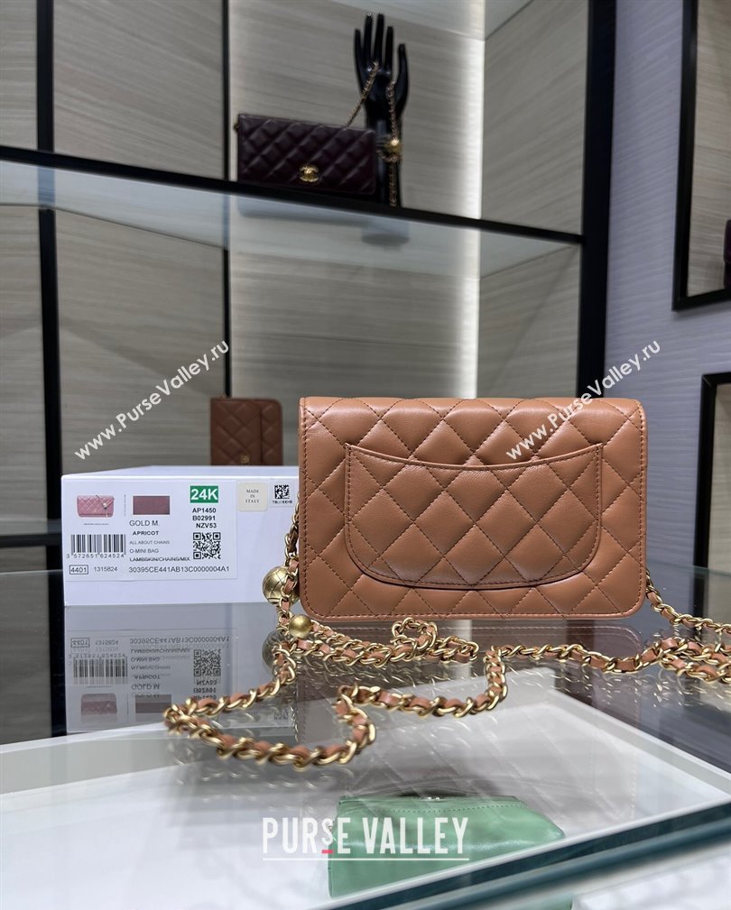 Chanel Lambskin Wallet on Chain WOC with Gold-Tone Ball AP1450 Brown 2024 (yezi-241107074)