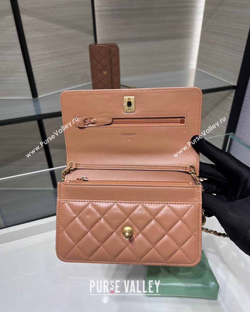 Chanel Lambskin Wallet on Chain WOC with Gold-Tone Ball AP1450 Brown 2024 (yezi-241107074)