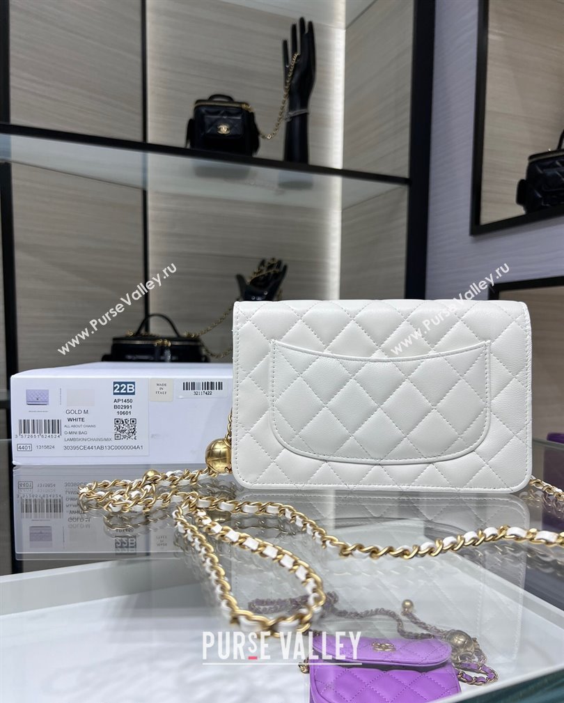 Chanel Lambskin Wallet on Chain WOC with Gold-Tone Ball AP1450 White 2024 (yezi-241107077)