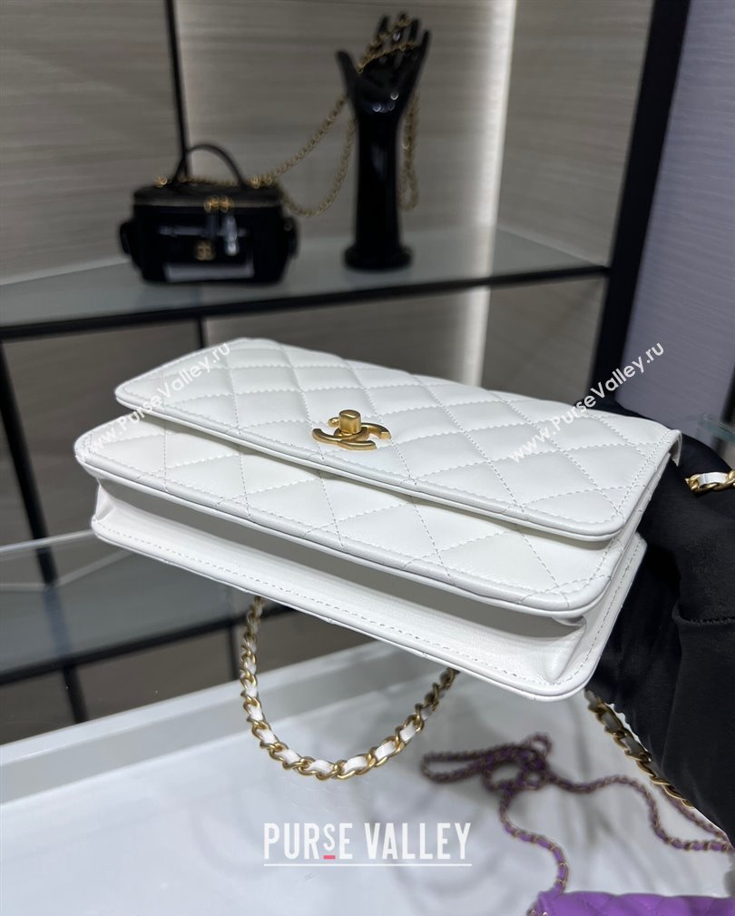 Chanel Lambskin Wallet on Chain WOC with Gold-Tone Ball AP1450 White 2024 (yezi-241107077)