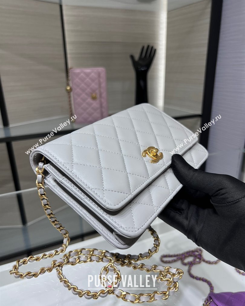 Chanel Lambskin Wallet on Chain WOC with Gold-Tone Ball AP1450 Light Grey 2024 (yezi-241107078)