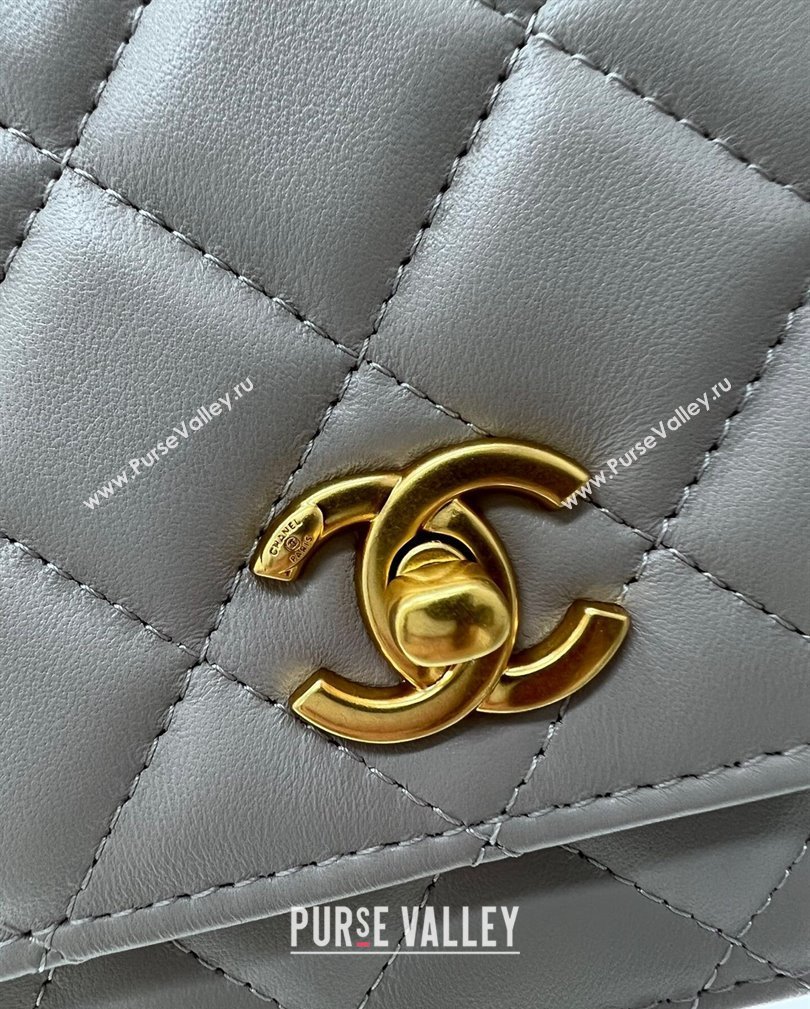 Chanel Lambskin Wallet on Chain WOC with Gold-Tone Ball AP1450 Light Grey 2024 (yezi-241107078)