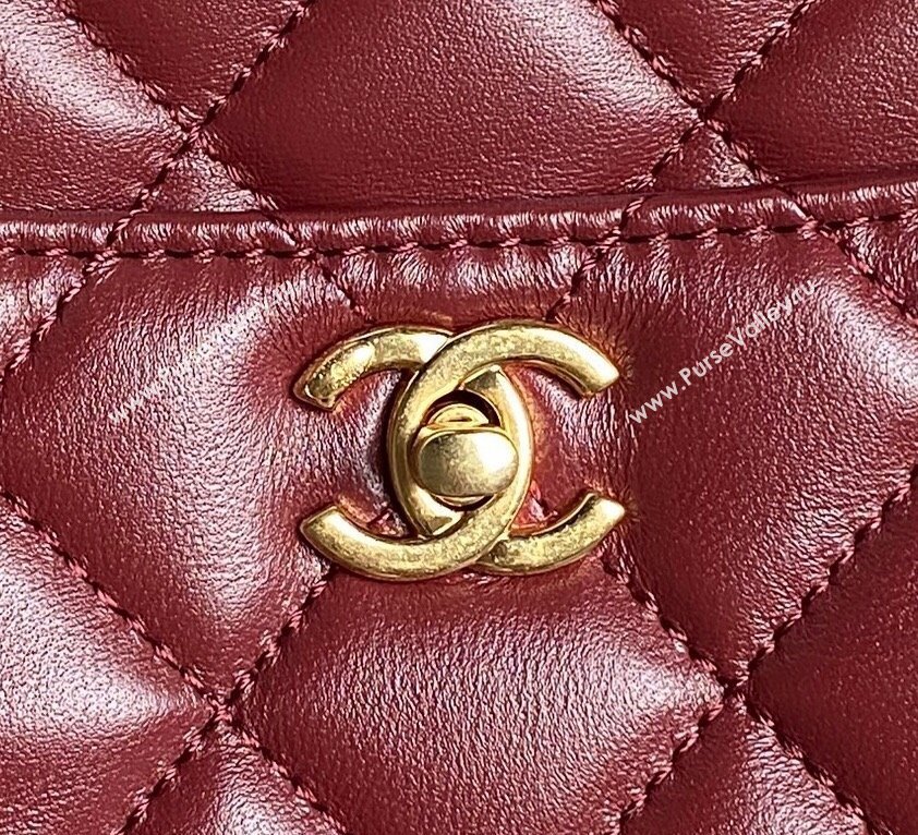 Chanel Shiny Lambskin Medium Camera Case bag Burgundy 2024 AS5187 (yezi-241107055)