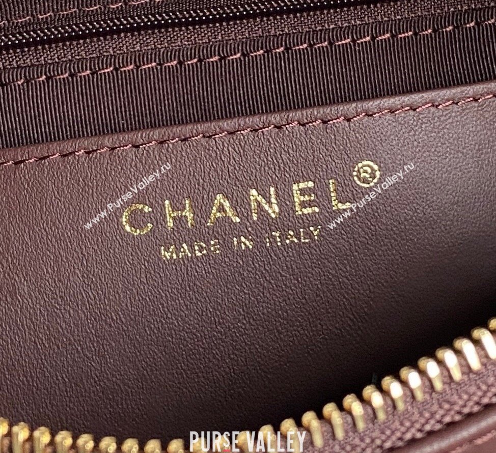 Chanel Shiny Lambskin Medium Camera Case bag Dark Brown 2024 AS5187 (yezi-241107058)