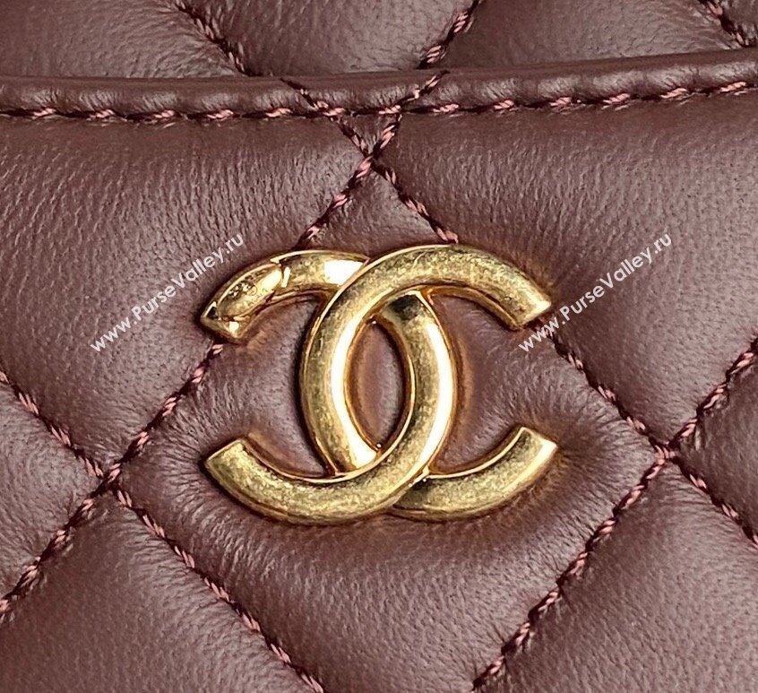 Chanel Shiny Lambskin Mini Camera Case bag Dark Brown 2024 AS5190 (yezi-241107062)