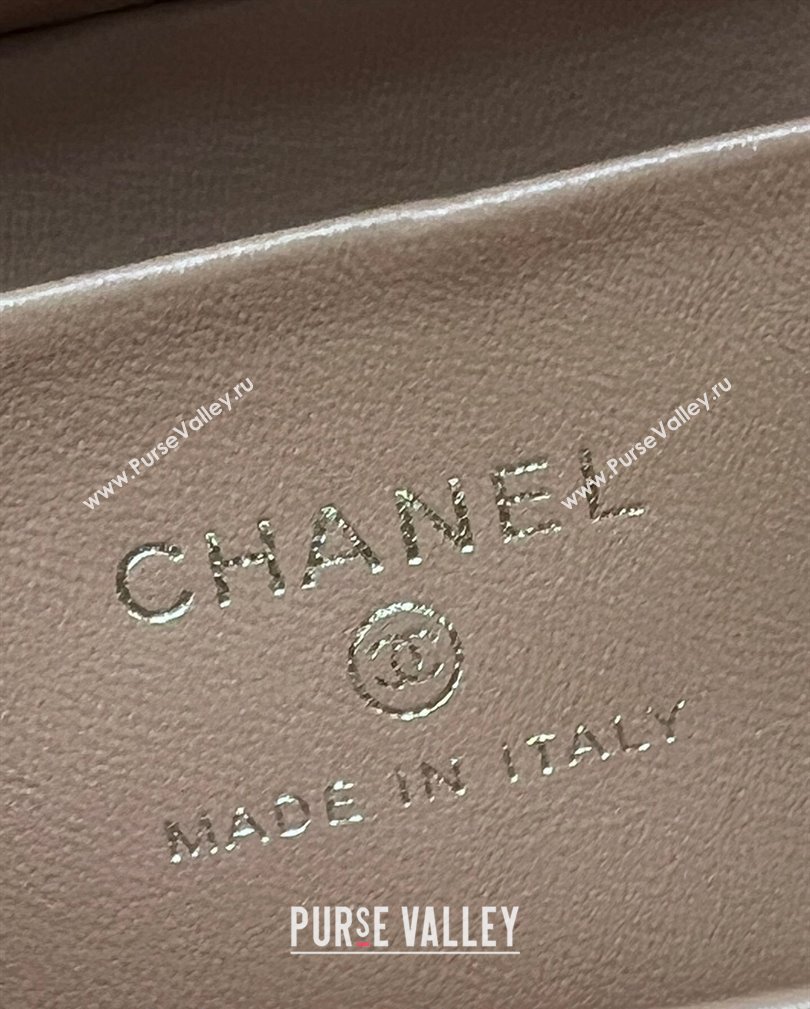 Chanel Grained Calfskin Clutch with Chain and Top Handle AP4244 Rose Beige 2024 (yezi-241107132)