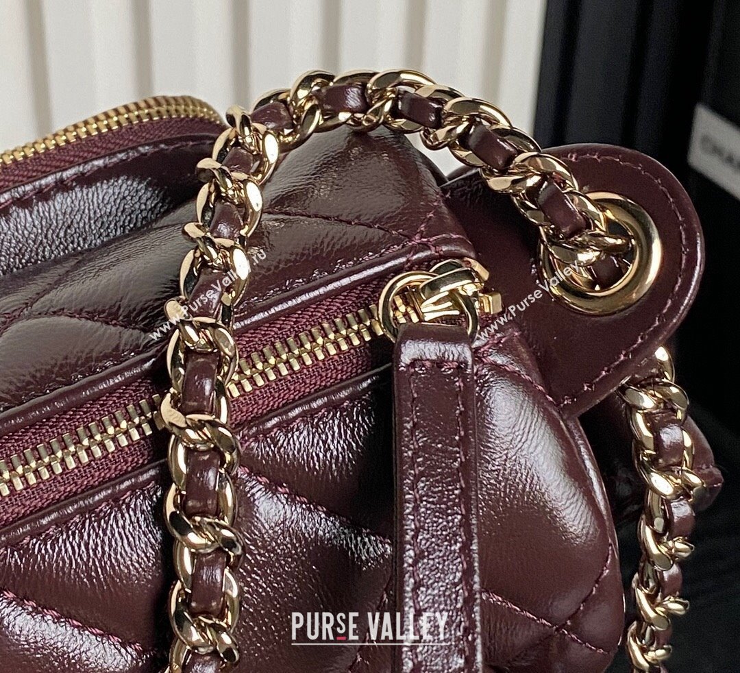 Chanel Shiny Crumpled Lambskin Small Camera Case bag AS5220 Dark Brown 2024 (yezi-241107136)