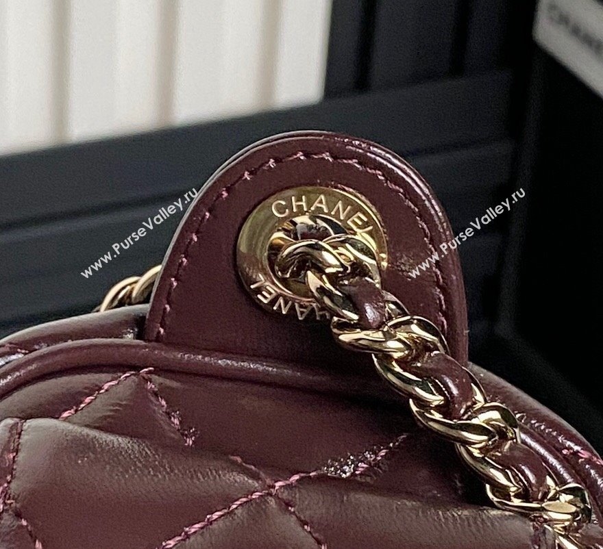 Chanel Shiny Crumpled Lambskin Small Camera Case bag AS5220 Dark Brown 2024 (yezi-241107136)