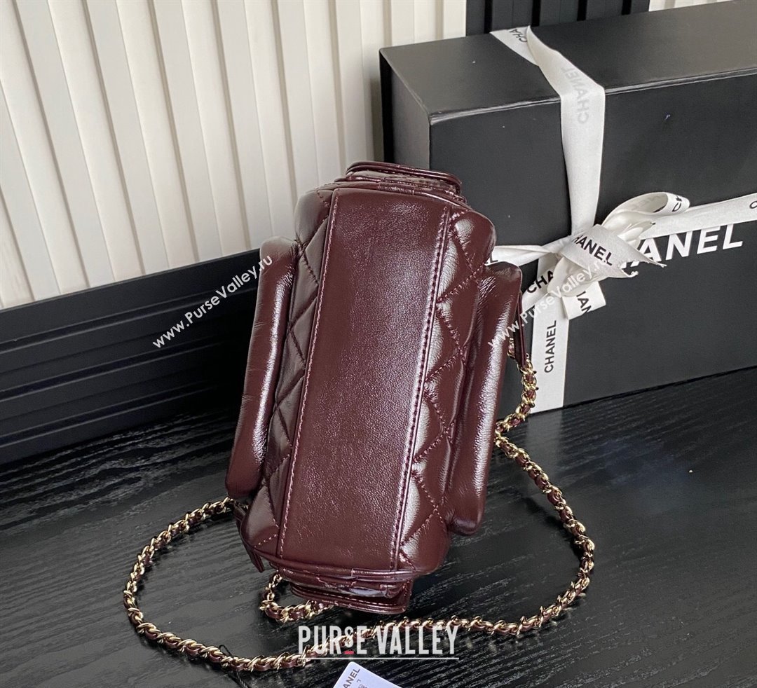 Chanel Shiny Crumpled Lambskin Small Camera Case bag AS5220 Dark Brown 2024 (yezi-241107136)