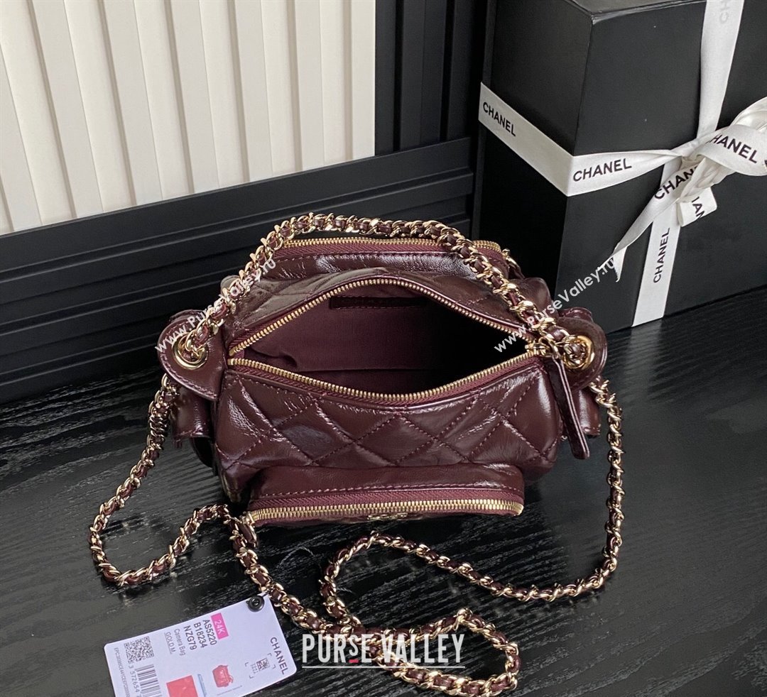 Chanel Shiny Crumpled Lambskin Small Camera Case bag AS5220 Dark Brown 2024 (yezi-241107136)