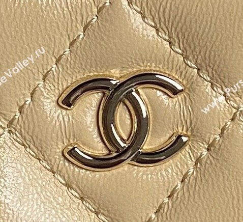 Chanel Shiny Crumpled Lambskin Small Camera Case bag AS5220 Beige 2024 (yezi-241107137)