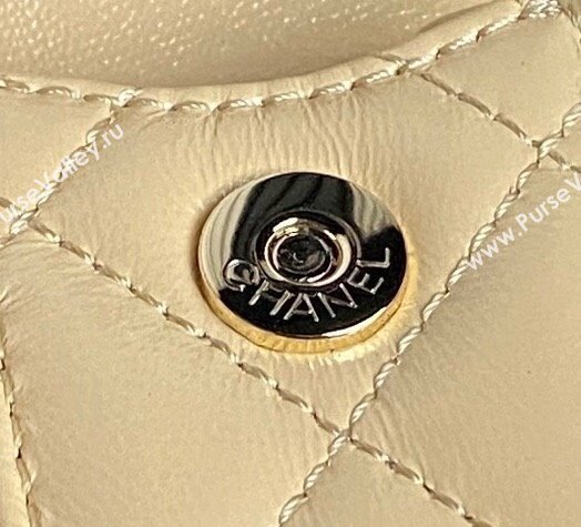 Chanel Shiny Crumpled Lambskin Small Camera Case bag AS5220 Beige 2024 (yezi-241107137)