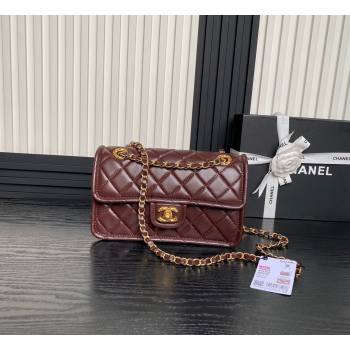 Chanel Shiny Crumpled Calfskin Flap bag AS5225 Dark Brown 2024 (yezi-241107144)