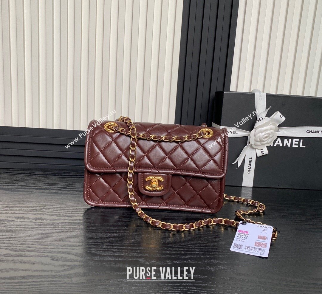 Chanel Shiny Crumpled Calfskin Flap bag AS5225 Dark Brown 2024 (yezi-241107144)