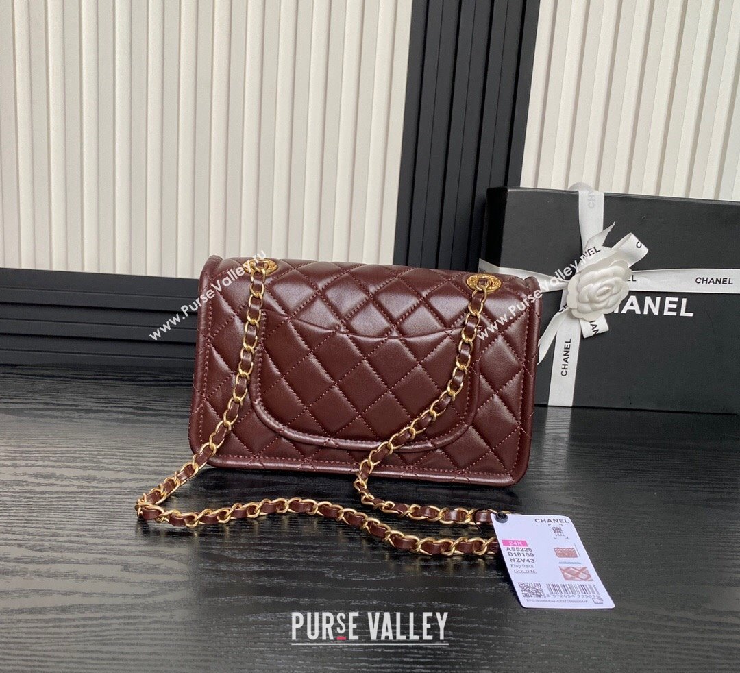 Chanel Shiny Crumpled Calfskin Flap bag AS5225 Dark Brown 2024 (yezi-241107144)