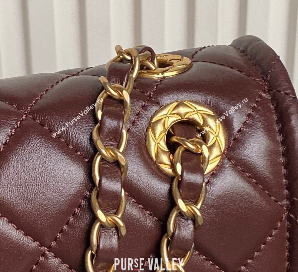 Chanel Shiny Crumpled Calfskin Flap bag AS5225 Dark Brown 2024 (yezi-241107144)