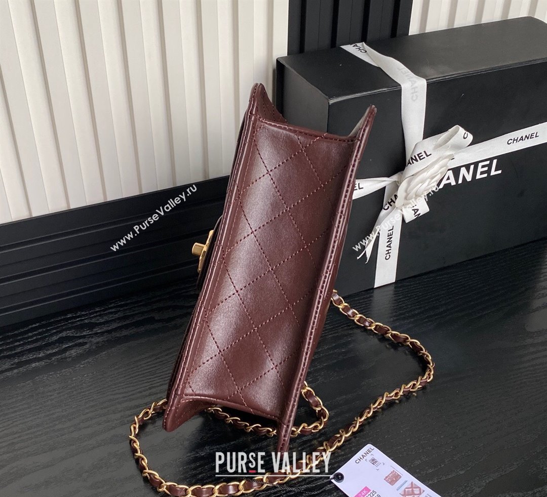 Chanel Shiny Crumpled Calfskin Flap bag AS5225 Dark Brown 2024 (yezi-241107144)