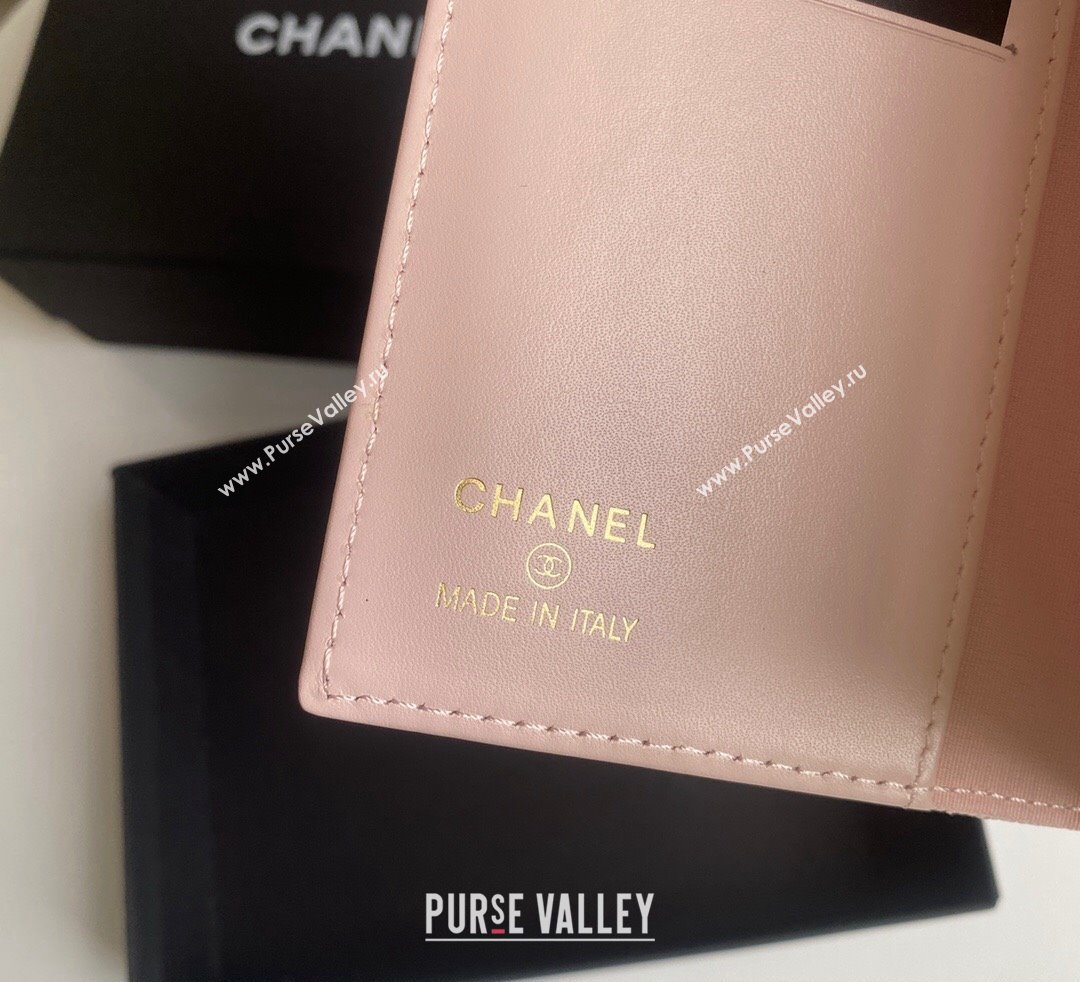 Chanel Grained Calfskin Passport Cover Light Pink 2024 A80385 (yezi-241107090)