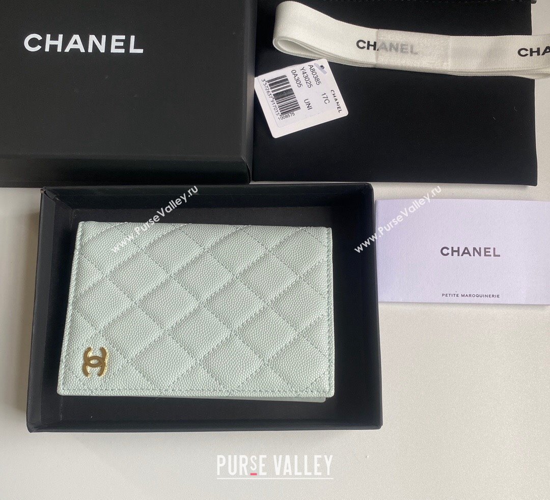 Chanel Grained Calfskin Passport Cover Pale Green 2024 A80385 (yezi-241107091)