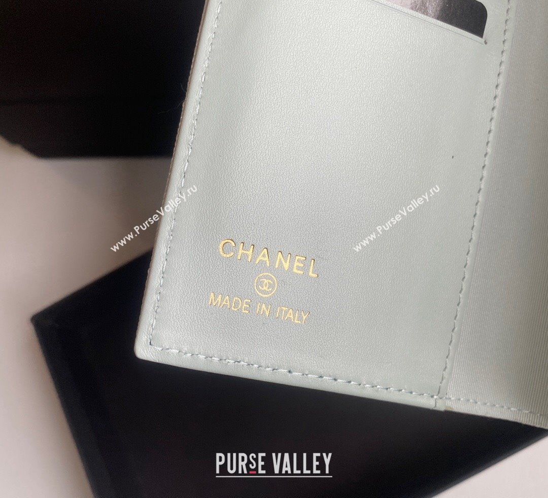 Chanel Grained Calfskin Passport Cover Pale Green 2024 A80385 (yezi-241107091)